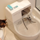 Image for article titled CatGenie Litter Box: The Clean Fresh Smell of Civilization's Discontents
